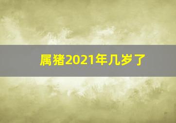 属猪2021年几岁了