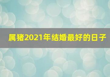 属猪2021年结婚最好的日子