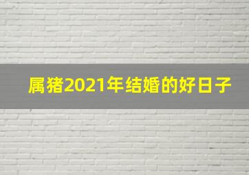 属猪2021年结婚的好日子