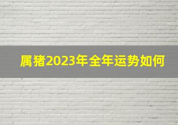 属猪2023年全年运势如何