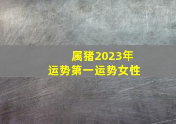 属猪2023年运势第一运势女性