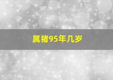 属猪95年几岁