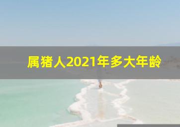 属猪人2021年多大年龄