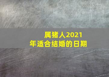 属猪人2021年适合结婚的日期