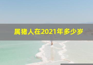 属猪人在2021年多少岁