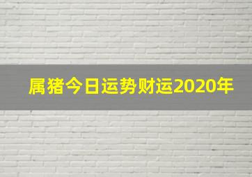 属猪今日运势财运2020年