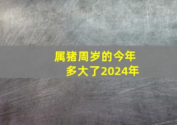 属猪周岁的今年多大了2024年