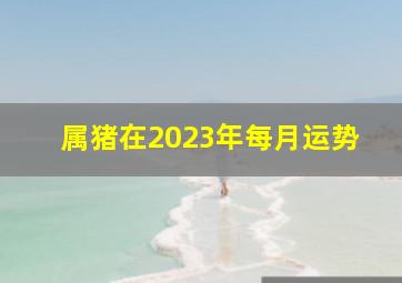 属猪在2023年每月运势