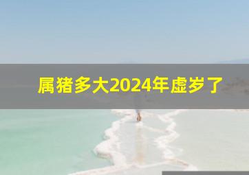 属猪多大2024年虚岁了