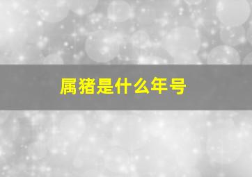 属猪是什么年号