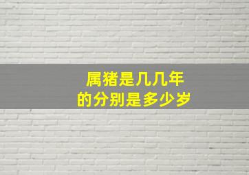 属猪是几几年的分别是多少岁