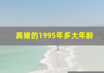 属猪的1995年多大年龄