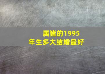 属猪的1995年生多大结婚最好