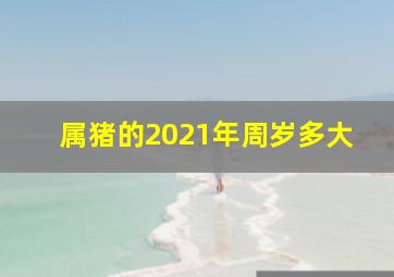 属猪的2021年周岁多大