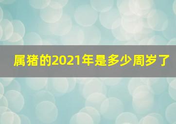 属猪的2021年是多少周岁了