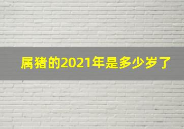 属猪的2021年是多少岁了