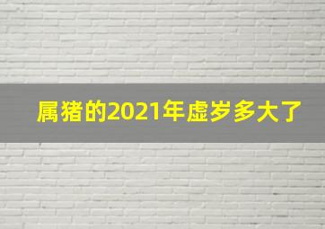 属猪的2021年虚岁多大了