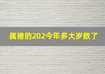 属猪的202今年多大岁数了