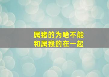 属猪的为啥不能和属猴的在一起