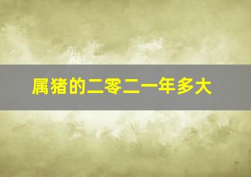 属猪的二零二一年多大