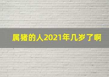 属猪的人2021年几岁了啊