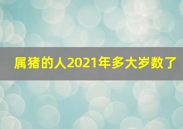 属猪的人2021年多大岁数了