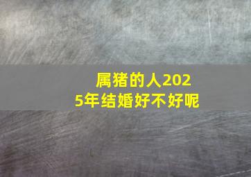 属猪的人2025年结婚好不好呢