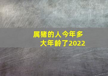 属猪的人今年多大年龄了2022