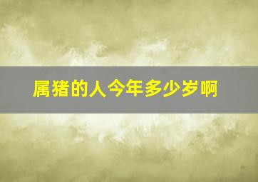 属猪的人今年多少岁啊