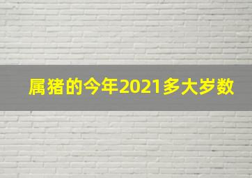 属猪的今年2021多大岁数