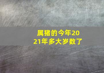 属猪的今年2021年多大岁数了