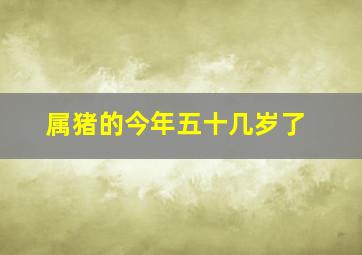 属猪的今年五十几岁了