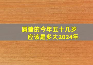 属猪的今年五十几岁应该是多大2024年