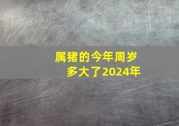 属猪的今年周岁多大了2024年