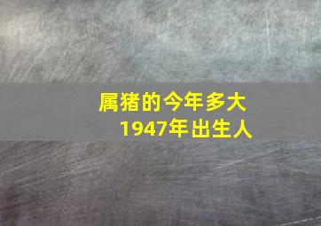 属猪的今年多大1947年出生人