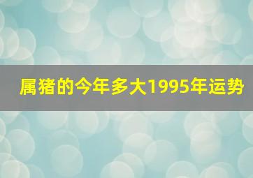 属猪的今年多大1995年运势