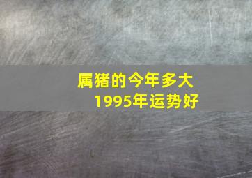 属猪的今年多大1995年运势好