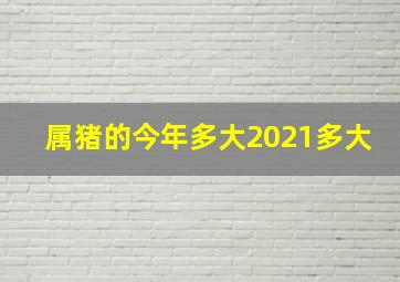 属猪的今年多大2021多大