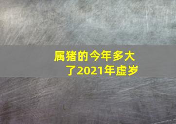 属猪的今年多大了2021年虚岁