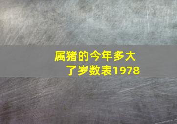 属猪的今年多大了岁数表1978