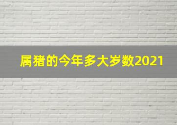 属猪的今年多大岁数2021