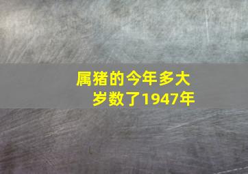 属猪的今年多大岁数了1947年