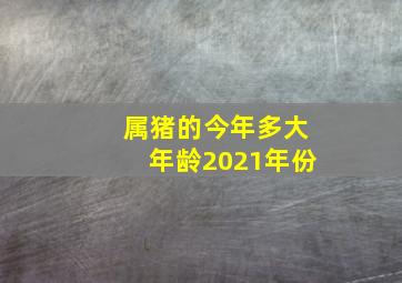 属猪的今年多大年龄2021年份