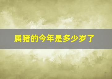 属猪的今年是多少岁了