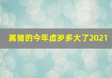 属猪的今年虚岁多大了2021