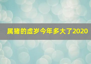 属猪的虚岁今年多大了2020