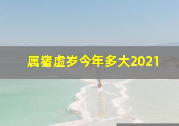 属猪虚岁今年多大2021