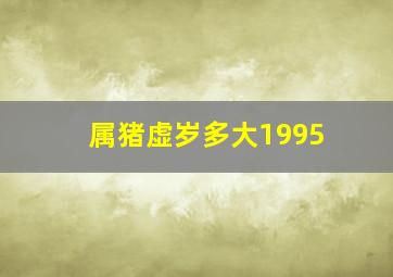 属猪虚岁多大1995