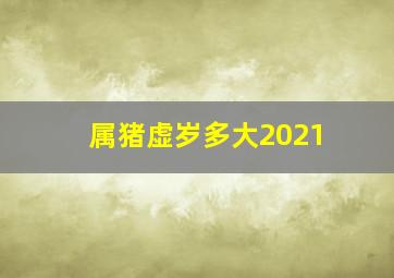 属猪虚岁多大2021