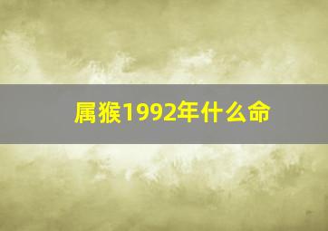 属猴1992年什么命